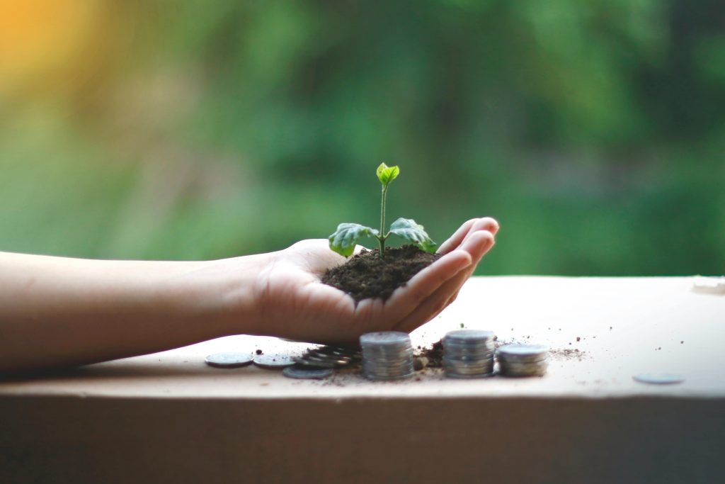 Coaching A hand cradles a young plant above coins, symbolizing financial growth and sustainability.