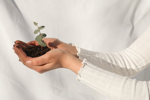 Coaching Close-up of hands holding a small plant with soil on a white background, signifying growth and sustainability.